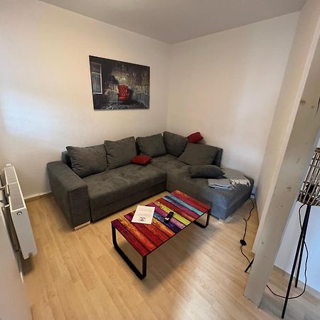 Apartment Napoleon, Naehe Zentrum, 2 Schlafzimmer, Grosser Balkon, Free Wifi ,Parken Jena Esterno foto